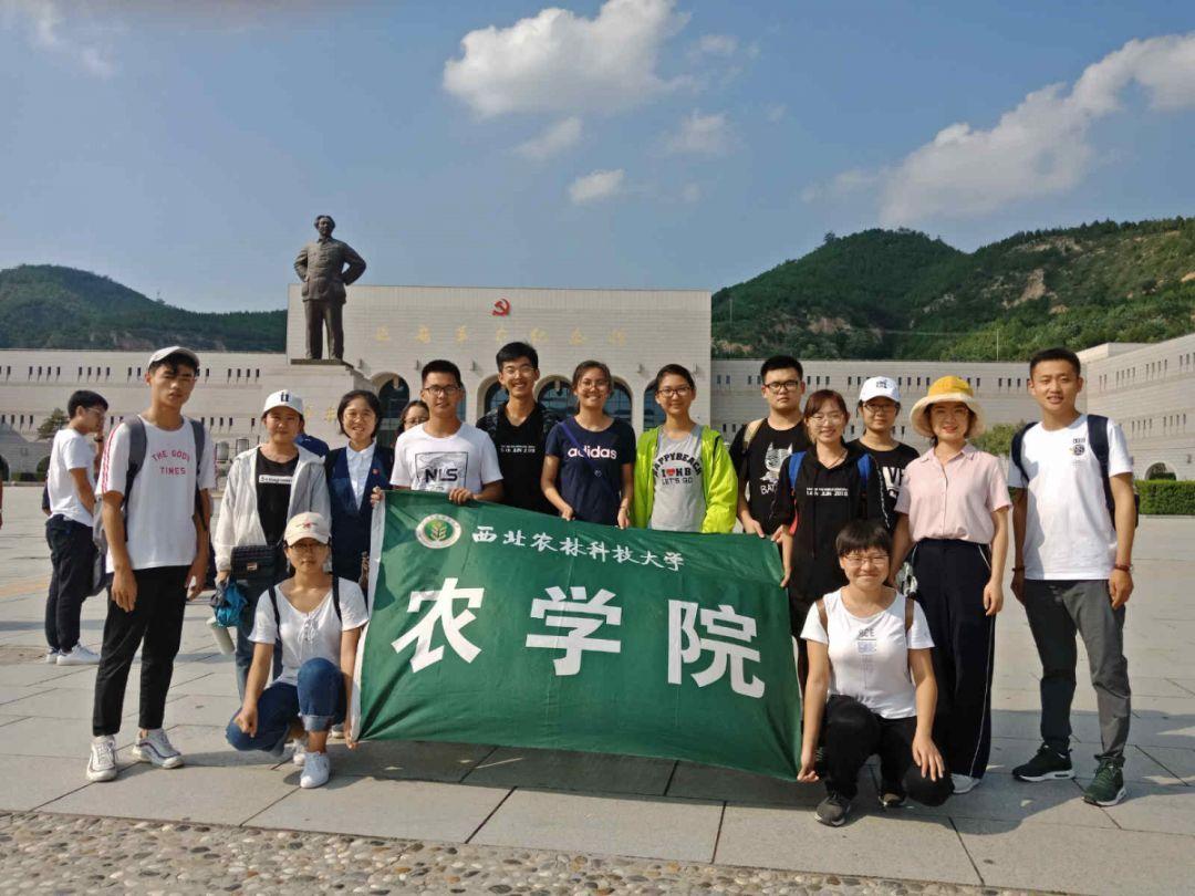 农业设备找不同
